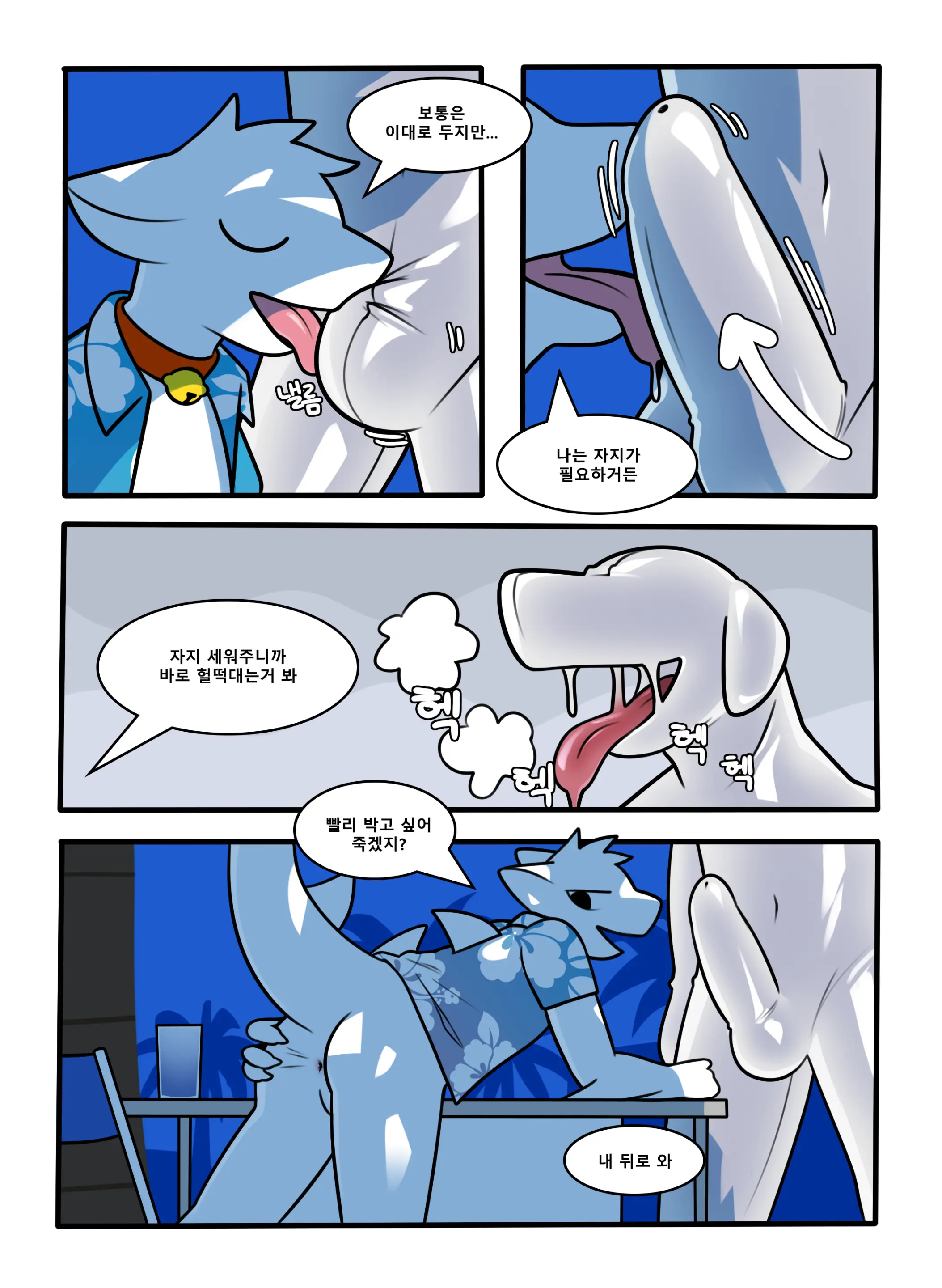 CocoShark