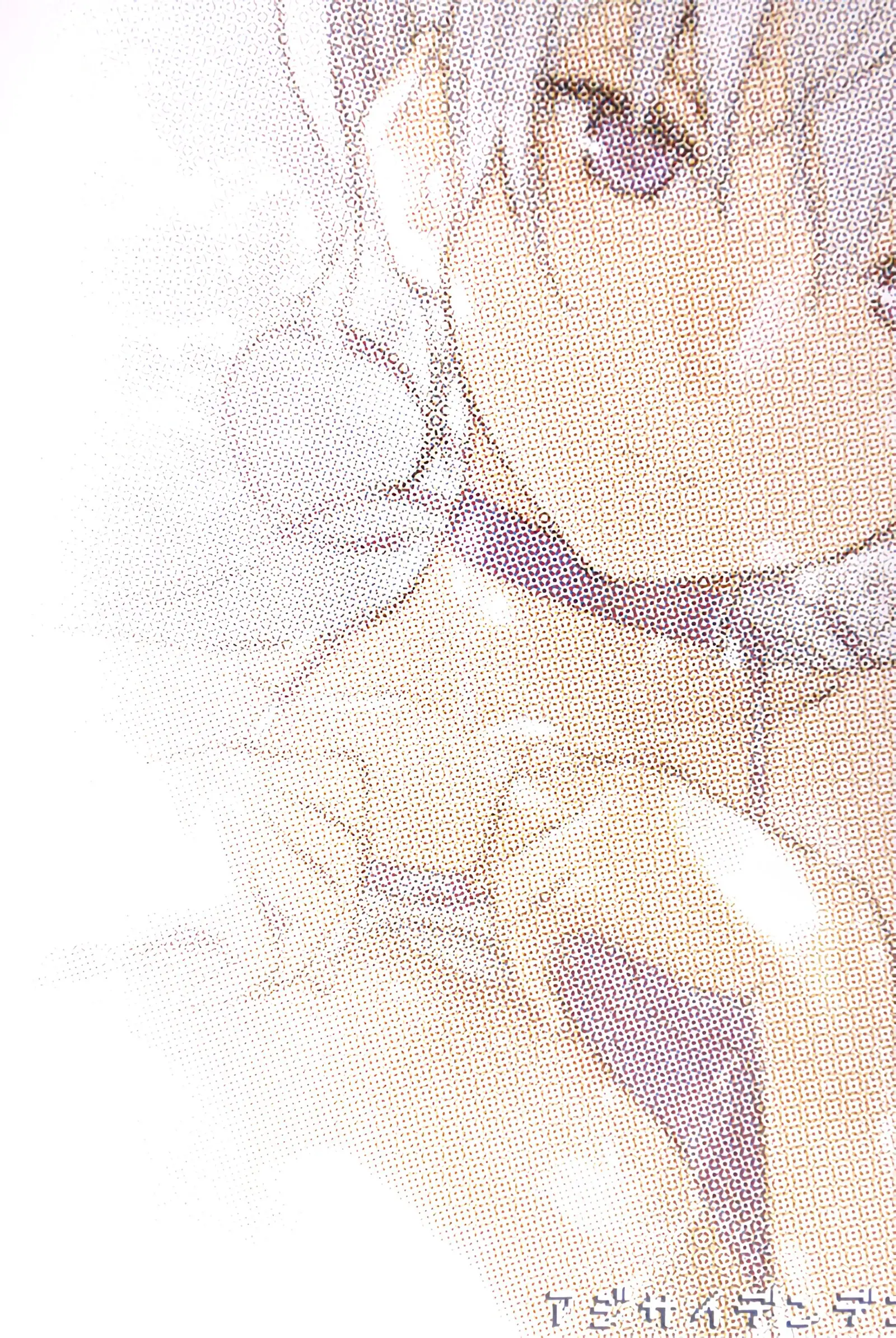Oppai De Yin-Chan Hon | 가슴으로 인(銀) 짱 책