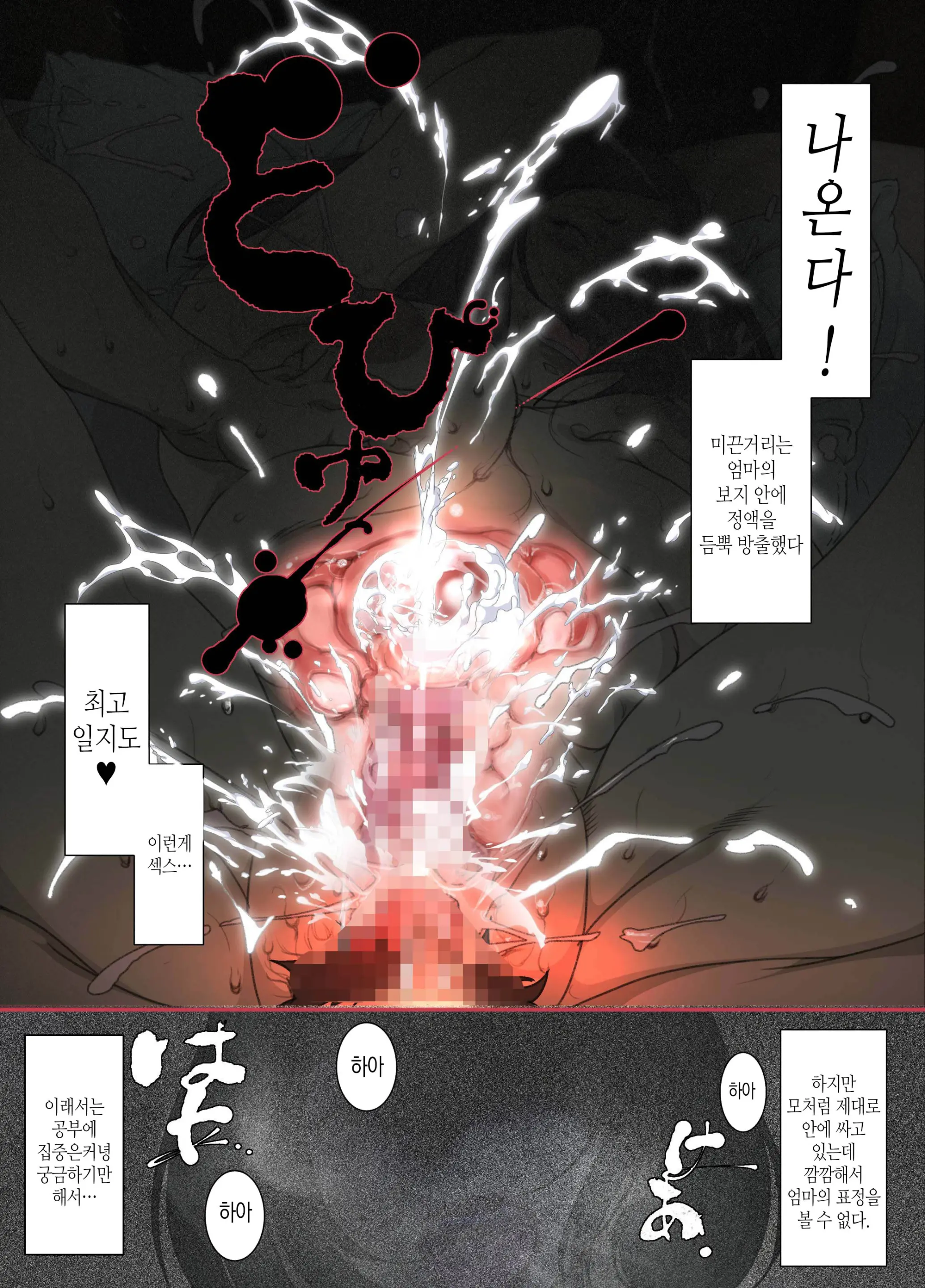 Kittsui Seikaku No Kyouiku Mama Ga, Jukenki Nomi Kurayami No Naka Nomi To Iu Jouken De Musuko No Sex Dairizuma O Tsutomeru Hanashi.