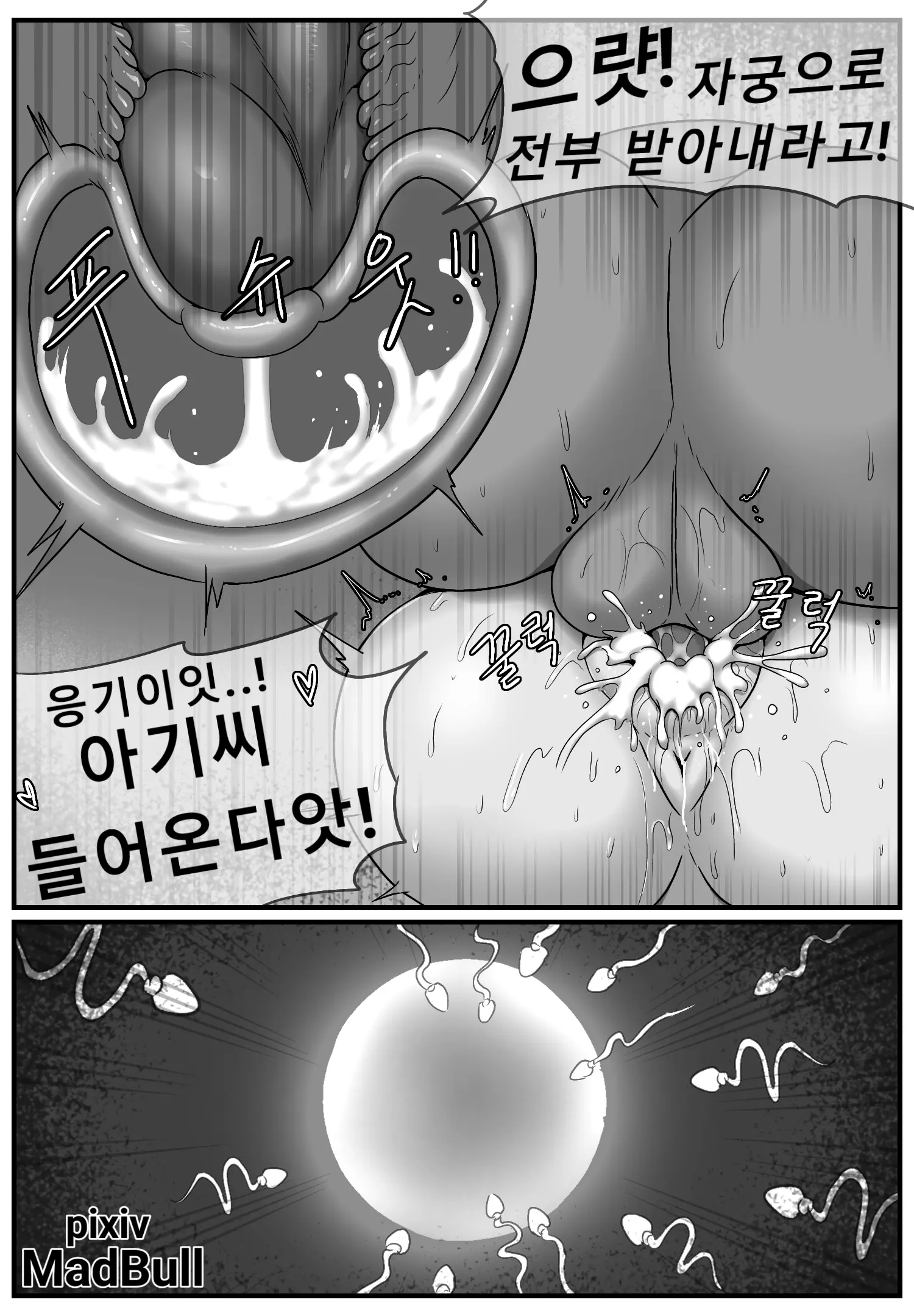 Nolbu'S Secret Sow