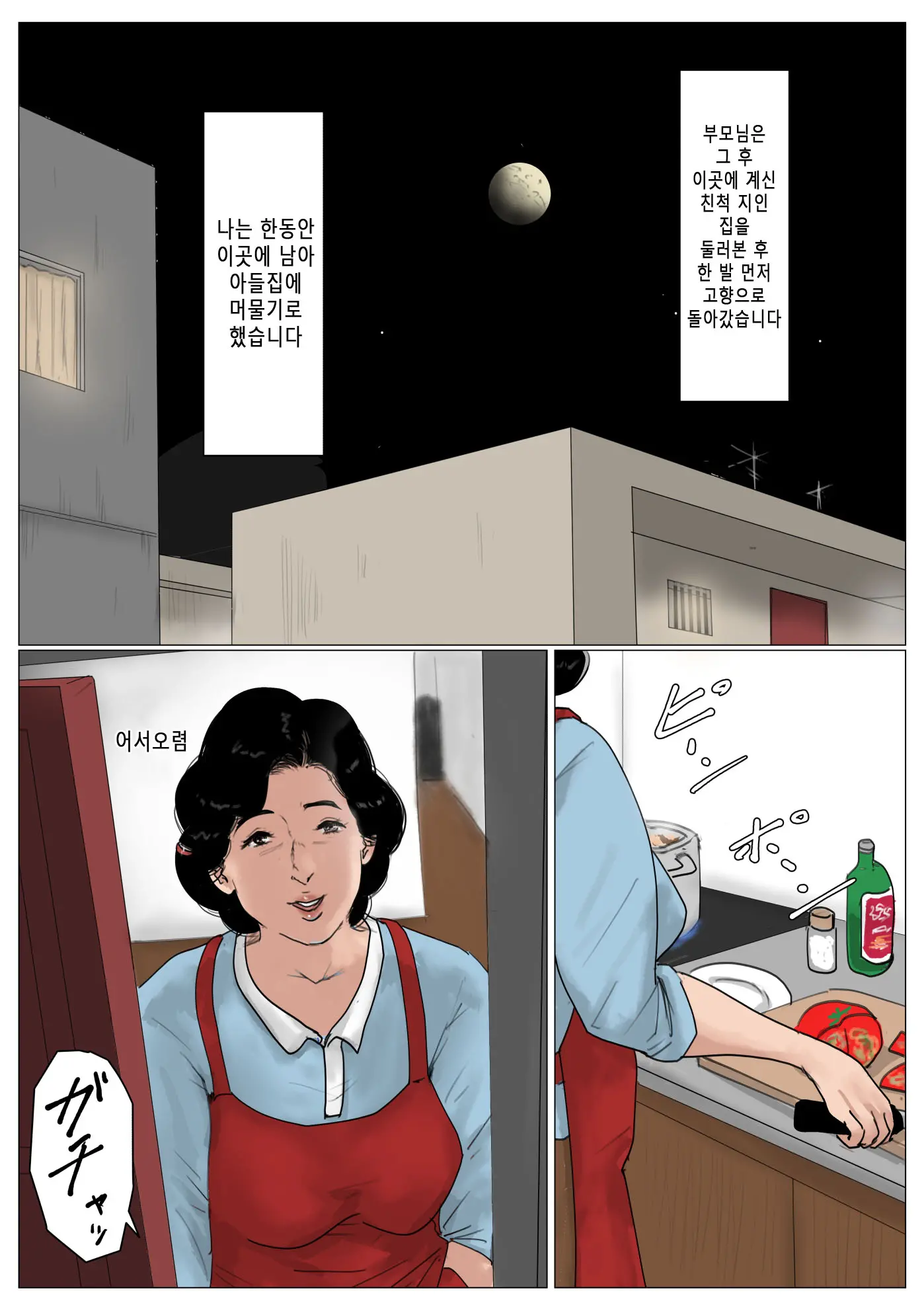 Haha Ni Koishite Tokubetsu Hen -Tokai No Musuko O Tazunete- | 엄마 를 사랑 해서 특별편 -도시의 아들을 방문-