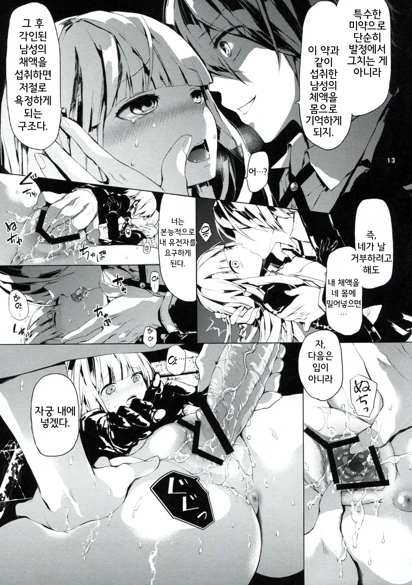PL/RAY