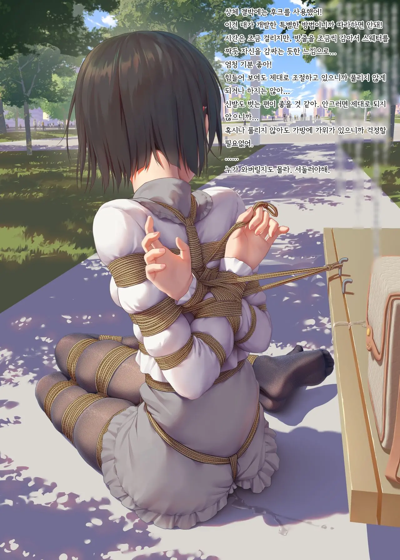Koori No Nikki Kouen De No Asobi