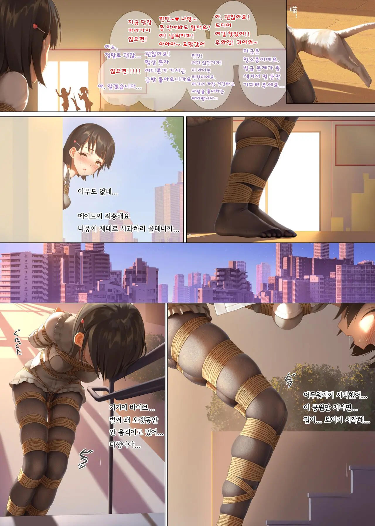 Koori No Nikki Kouen De No Asobi