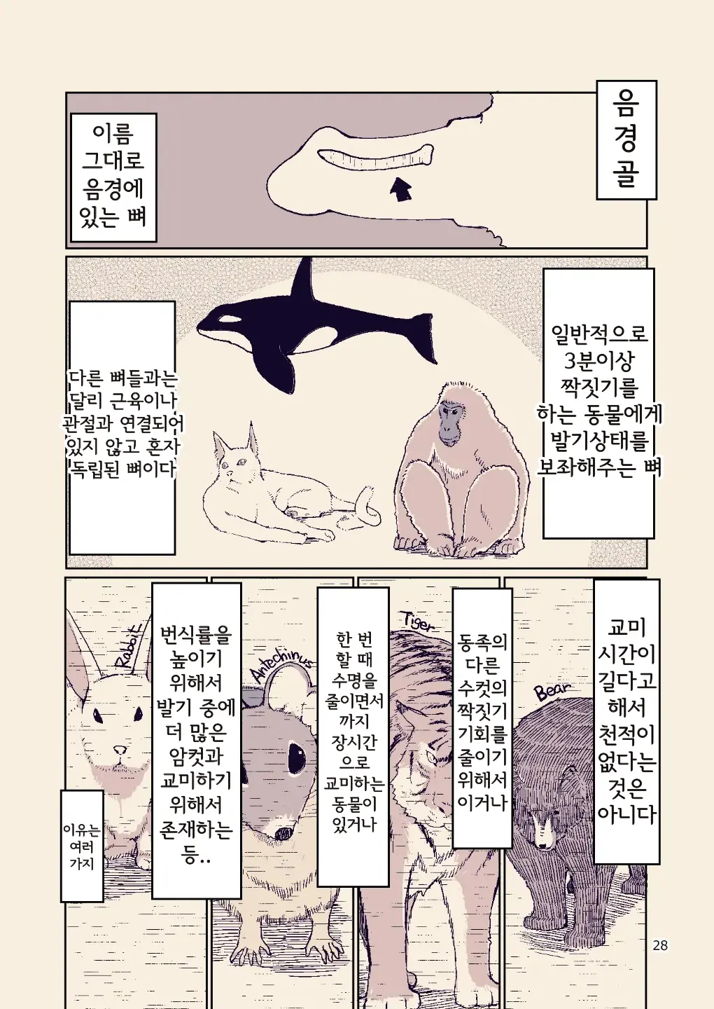 Dosukebe Elf No Ishukan Nikki 8 | 호색한 엘프의 이종간일기 8