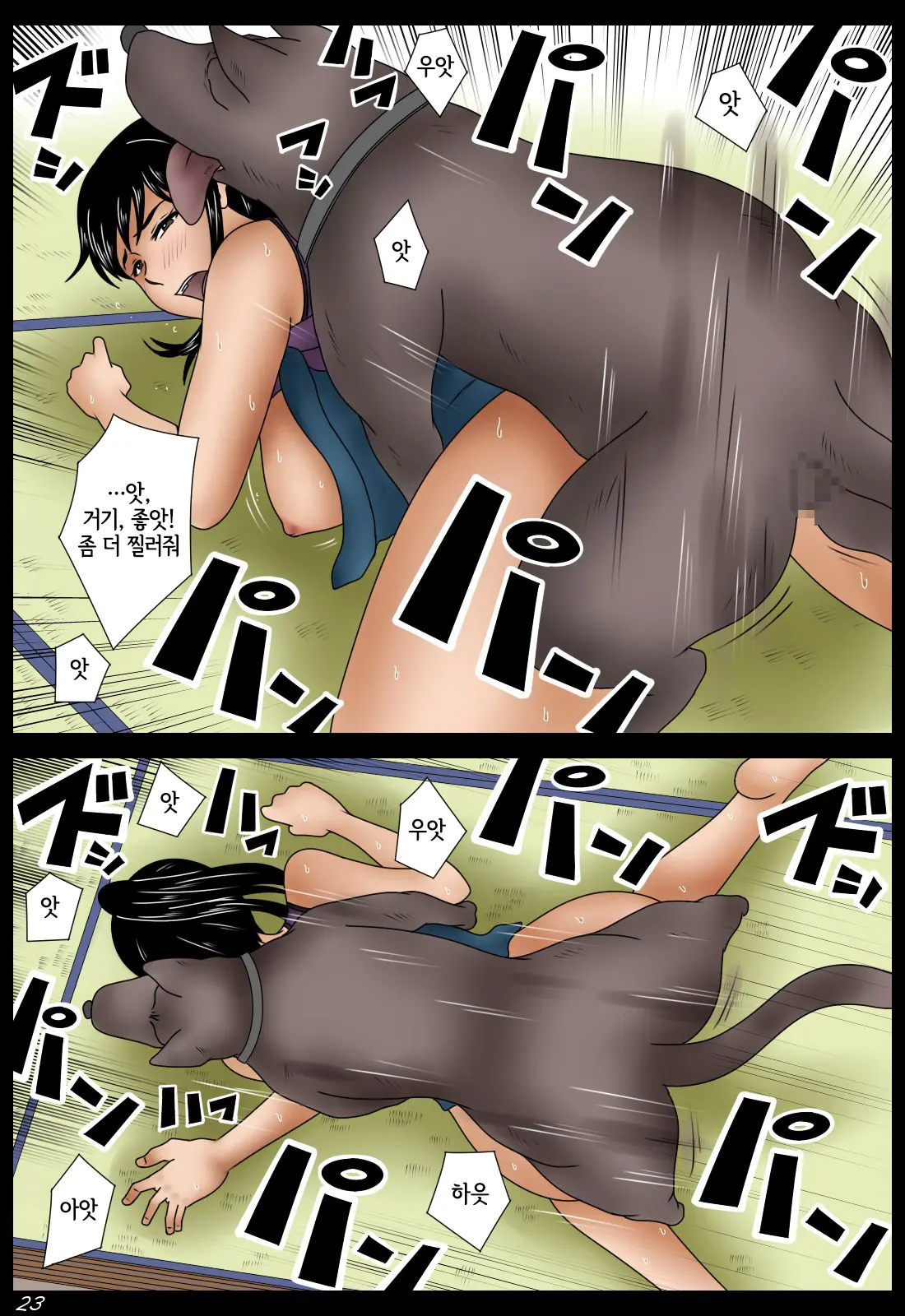 Natsu Inu | 여름 개