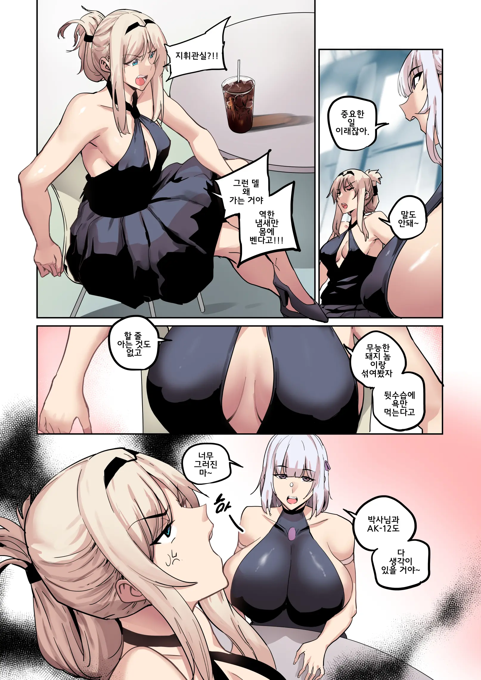 상식개변 AK-12