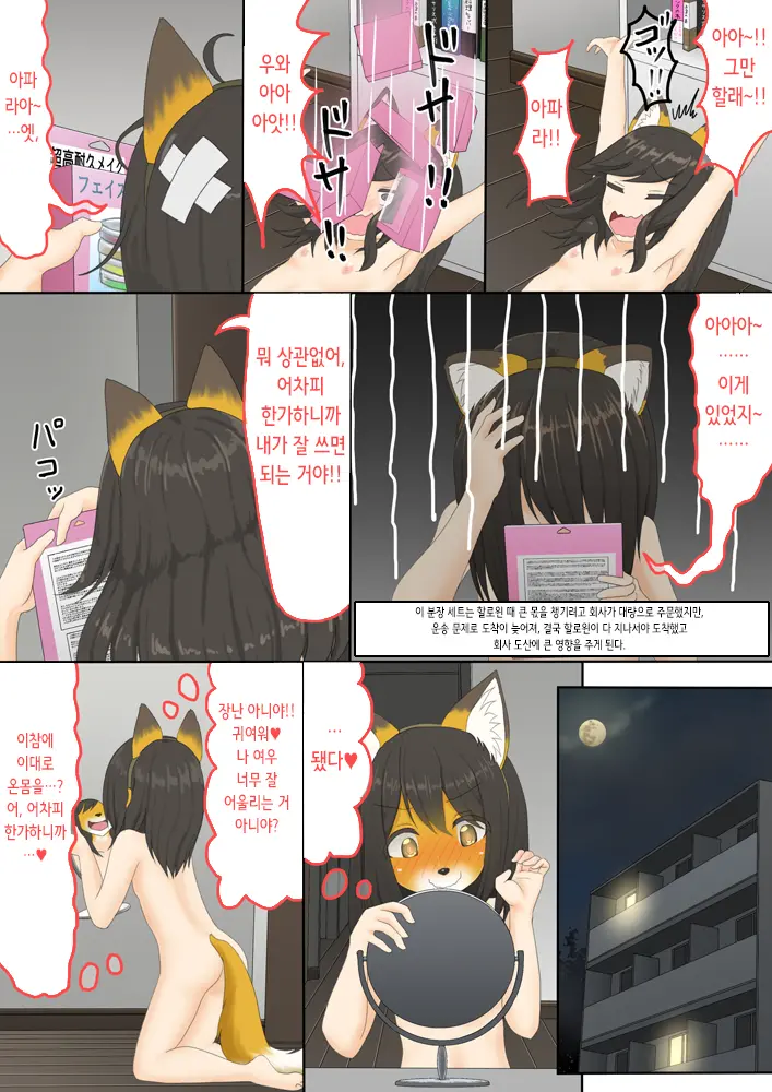 The Bankruptcy Of A Company | 여우 페인트