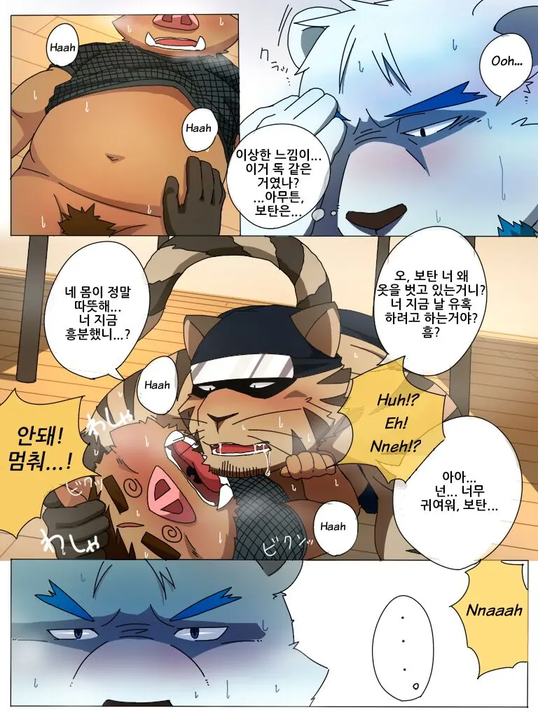 Warera! Shippo Ninja Tai! -Bangai Hen- | We Are The Tail Ninja Corps!