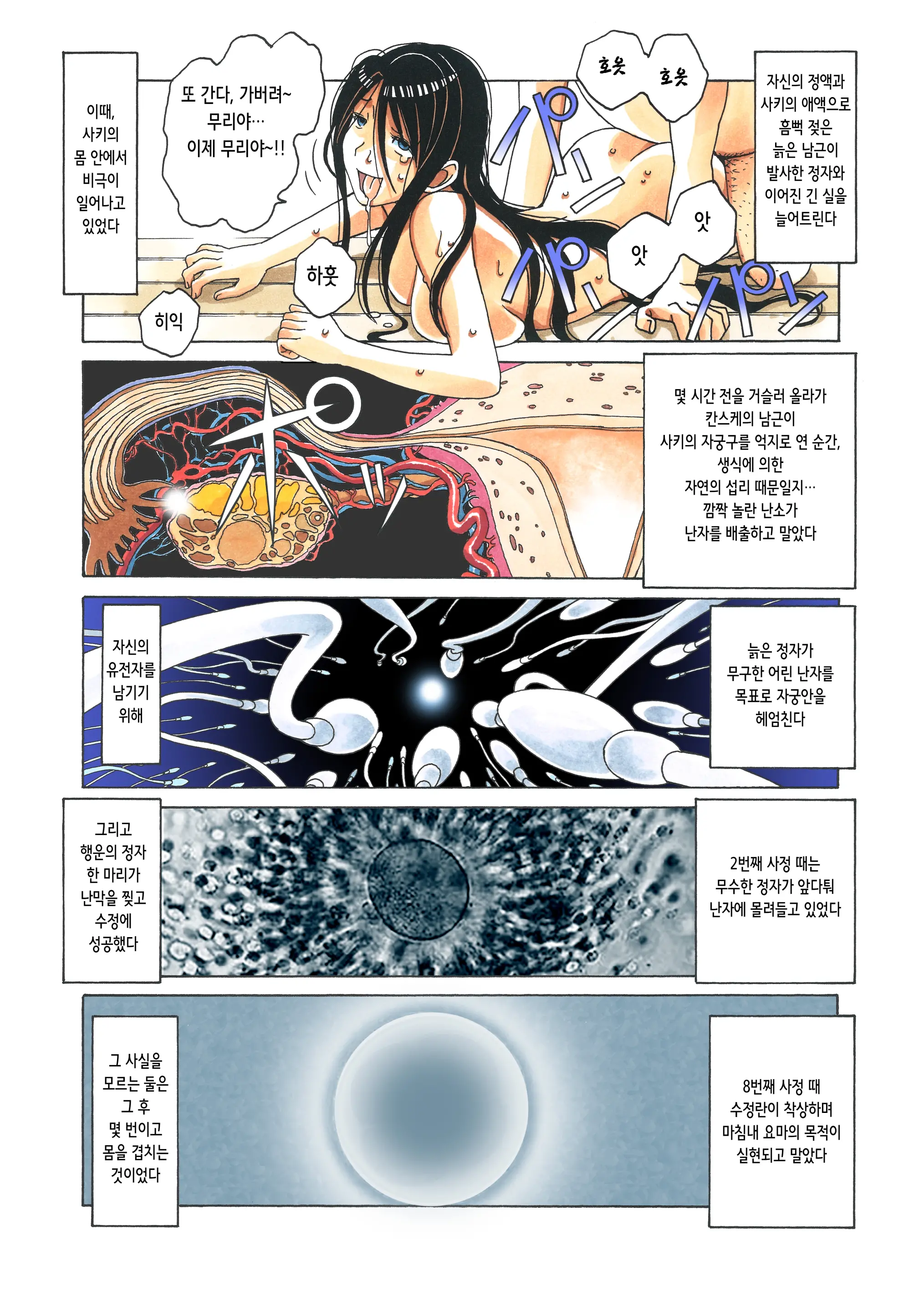 Henshin Heroine Youma Taifuushi Saki | 변신 히로인 요마 퇴마사 사키