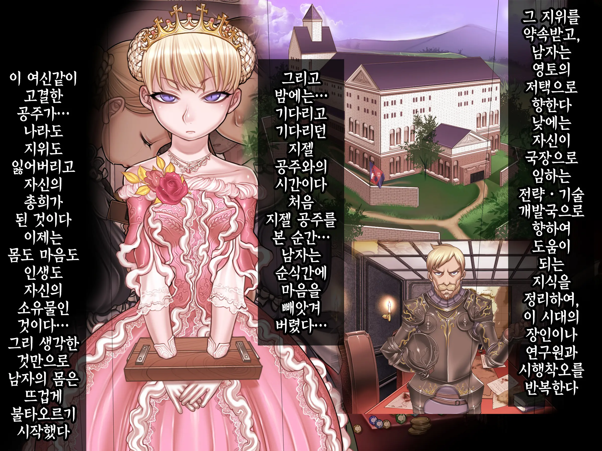Houshuu No Himegimi 3 Princess Super Slut 3 _ 보상 공주님 제3장