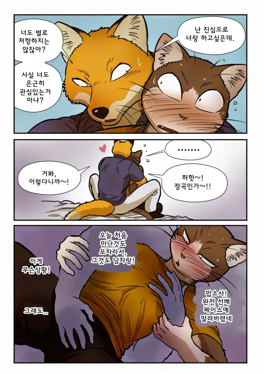 Kitsune X Neko Kemo Homo Ero Manga | 고양이×고양이 2화 - 여우×고양이 케모호모 에로 만화