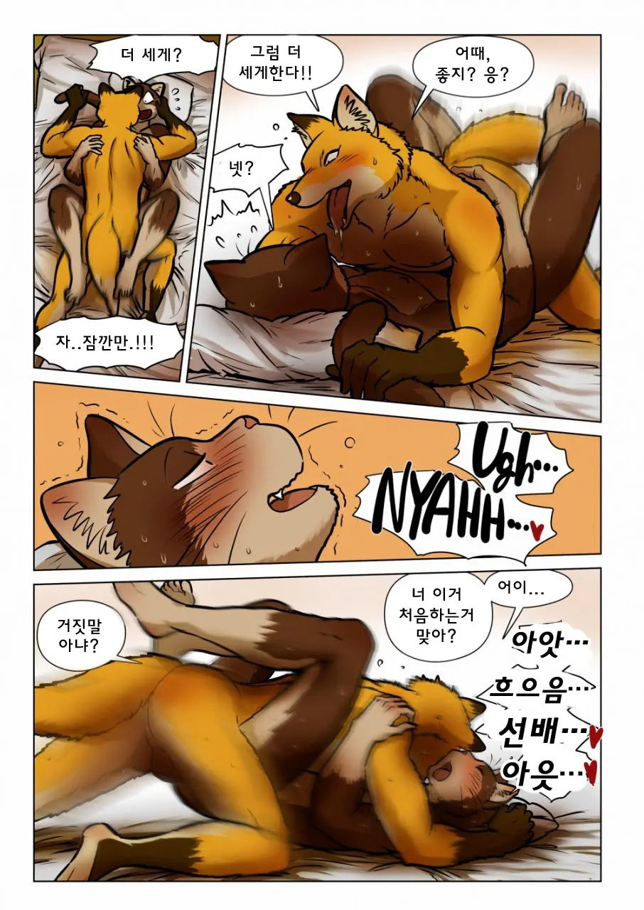 Kitsune X Neko Kemo Homo Ero Manga | 고양이×고양이 2화 - 여우×고양이 케모호모 에로 만화