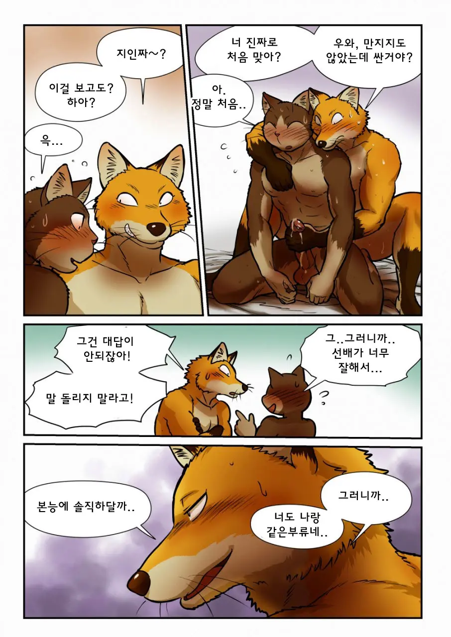 Kitsune X Neko Kemo Homo Ero Manga | 고양이×고양이 2화 - 여우×고양이 케모호모 에로 만화
