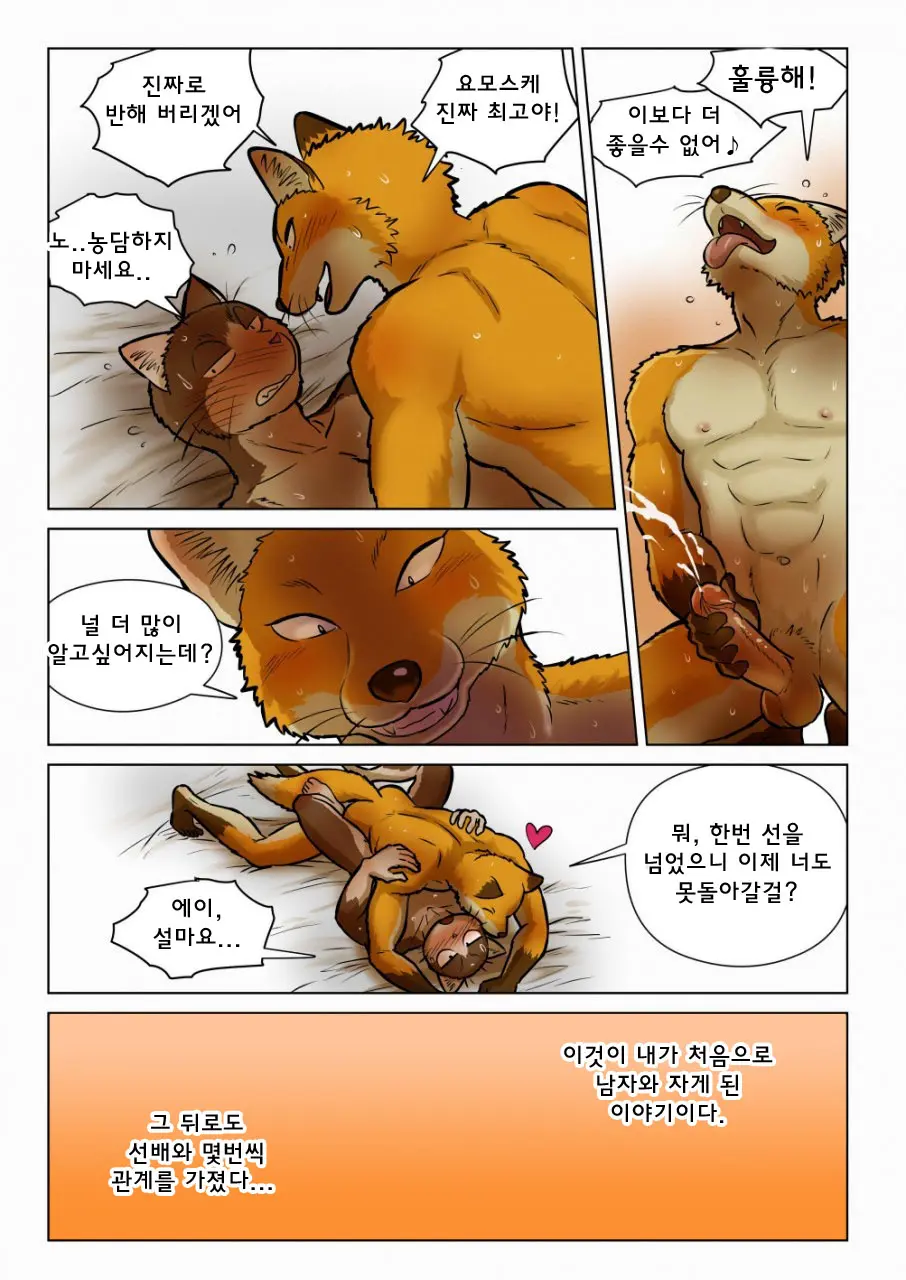 Kitsune X Neko Kemo Homo Ero Manga | 고양이×고양이 2화 - 여우×고양이 케모호모 에로 만화