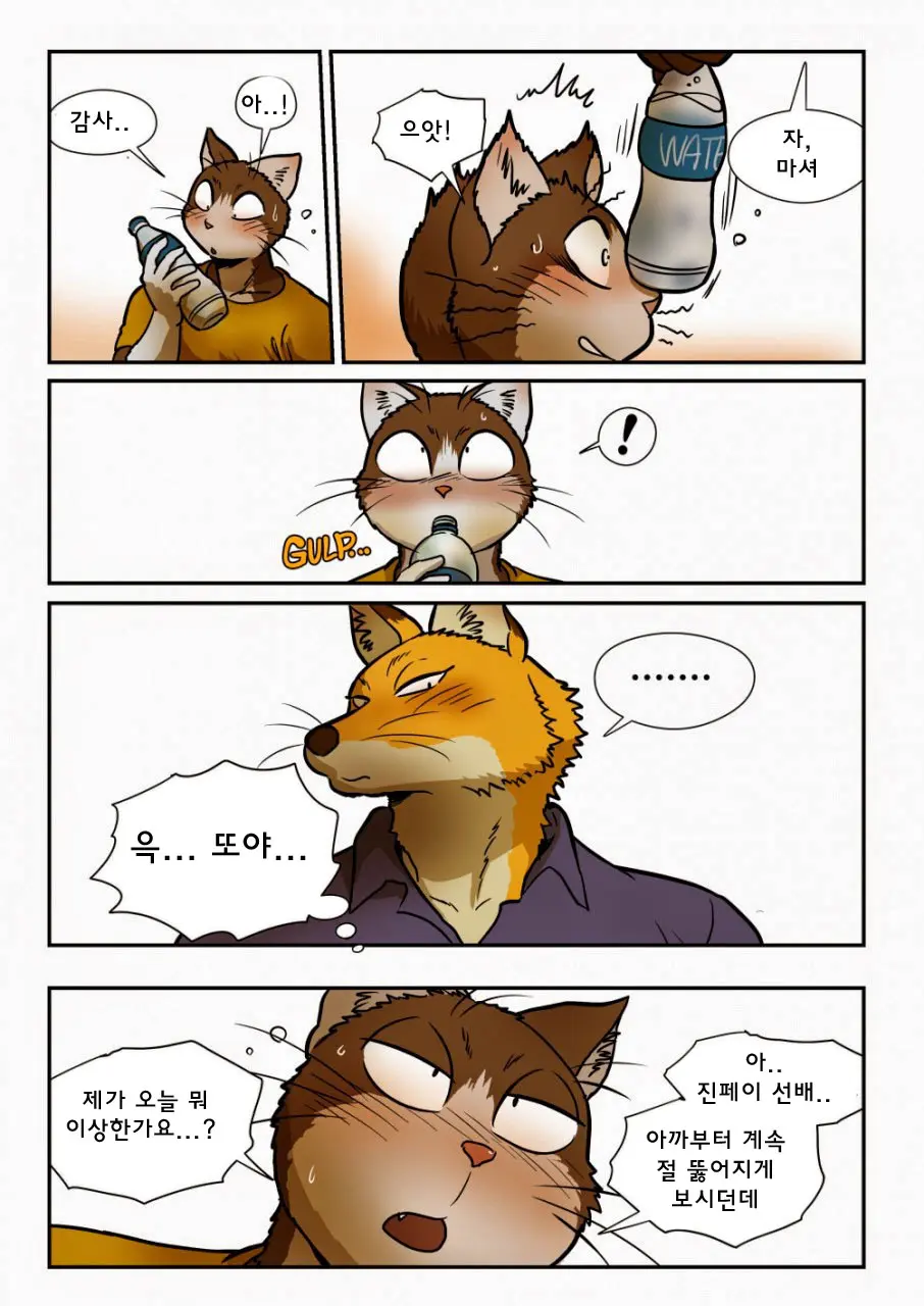 Kitsune X Neko Kemo Homo Ero Manga | 고양이×고양이 2화 - 여우×고양이 케모호모 에로 만화