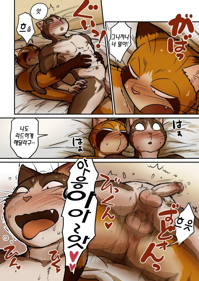 Neko X Neko 4 | 고양이×고양이 4화