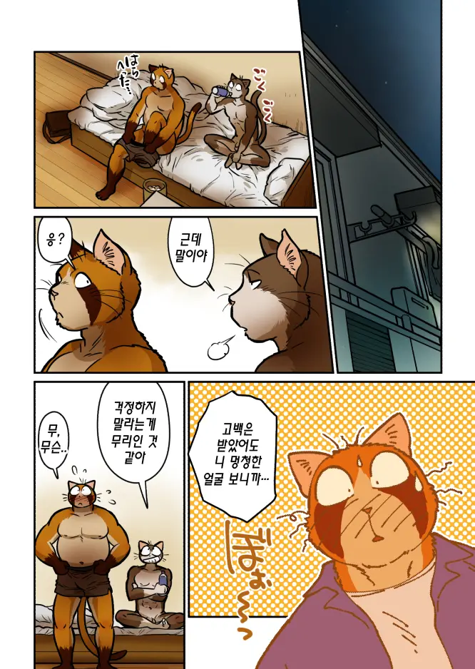 Neko X Neko 4 | 고양이×고양이 4화