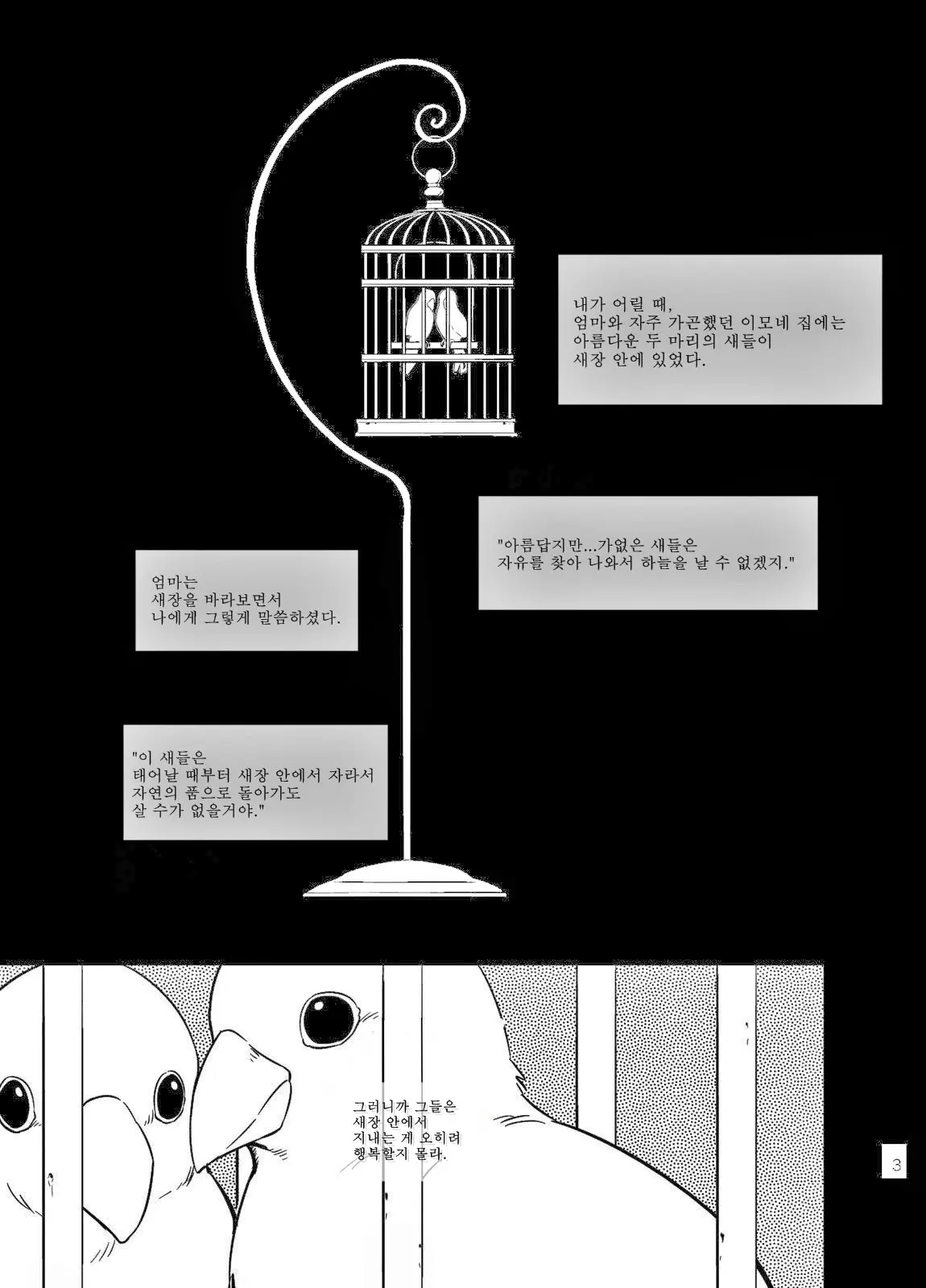 Cage | 케이지