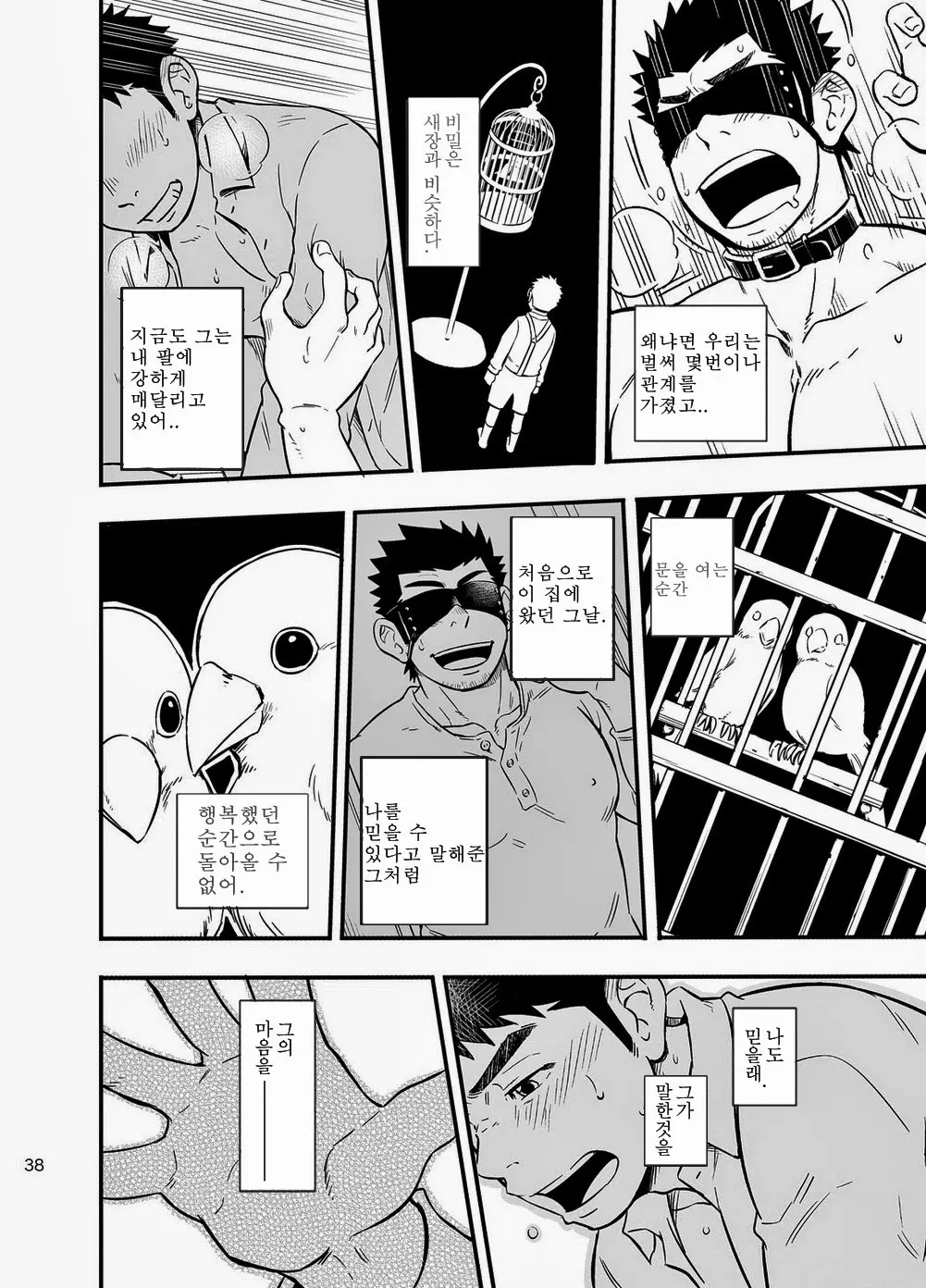 Cage | 케이지