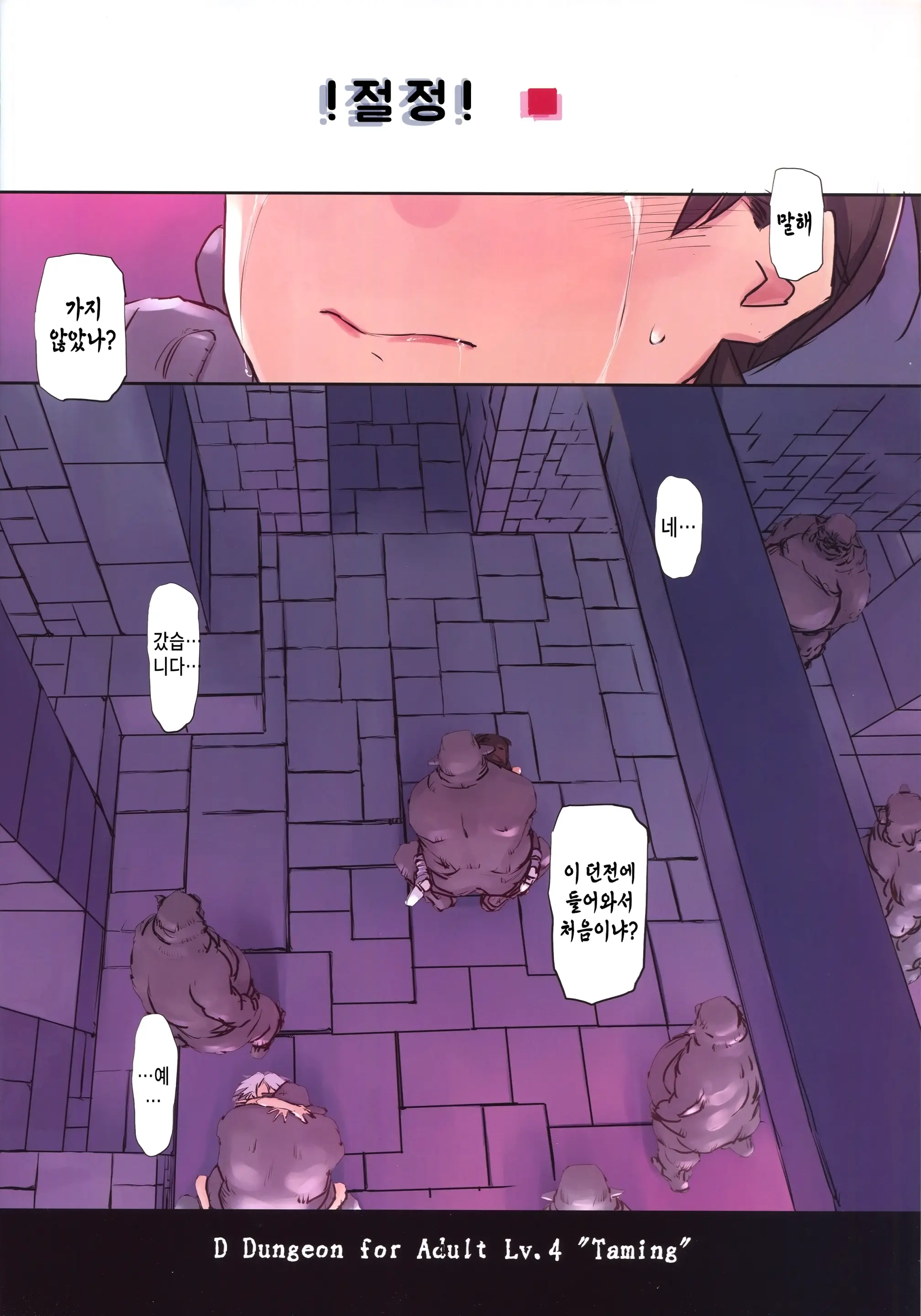 D Dungeon For Adult Lv.4