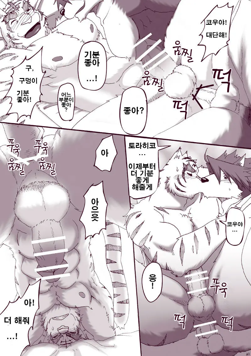 Kawaiku Nee! | 귀엽지 않다구!