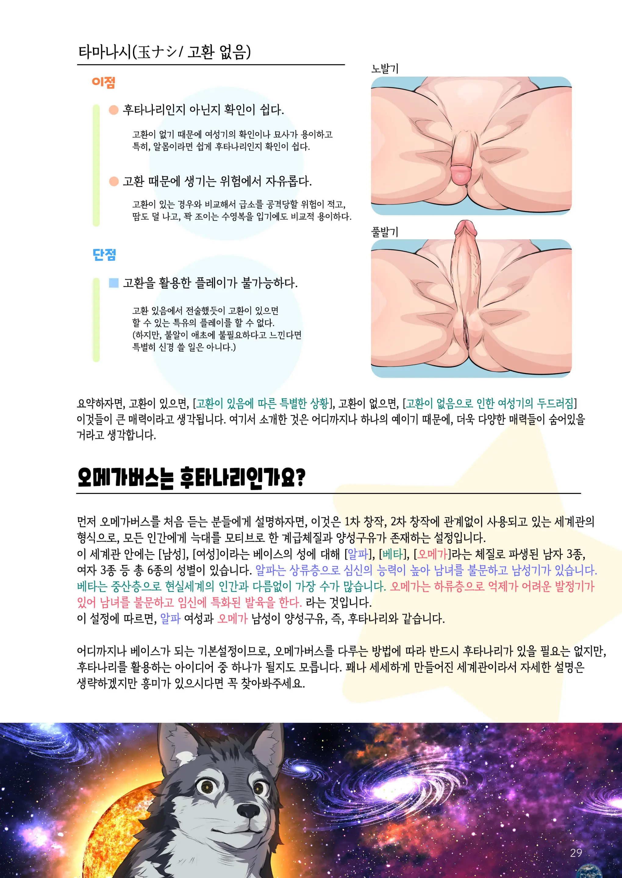 Futanari, Tte Nani? - What Is Futanari? | 후타나리가 뭐야? (Decensored)