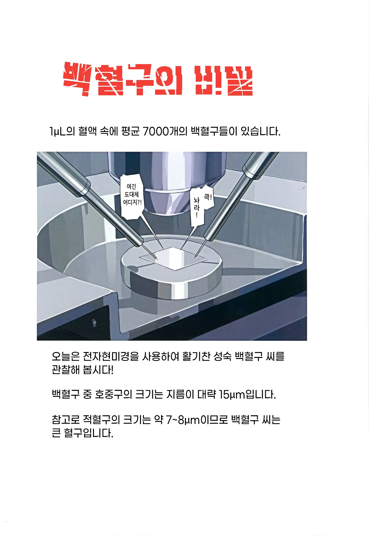 Hakkekkyuu No Himitsu | 백혈구의 비밀
