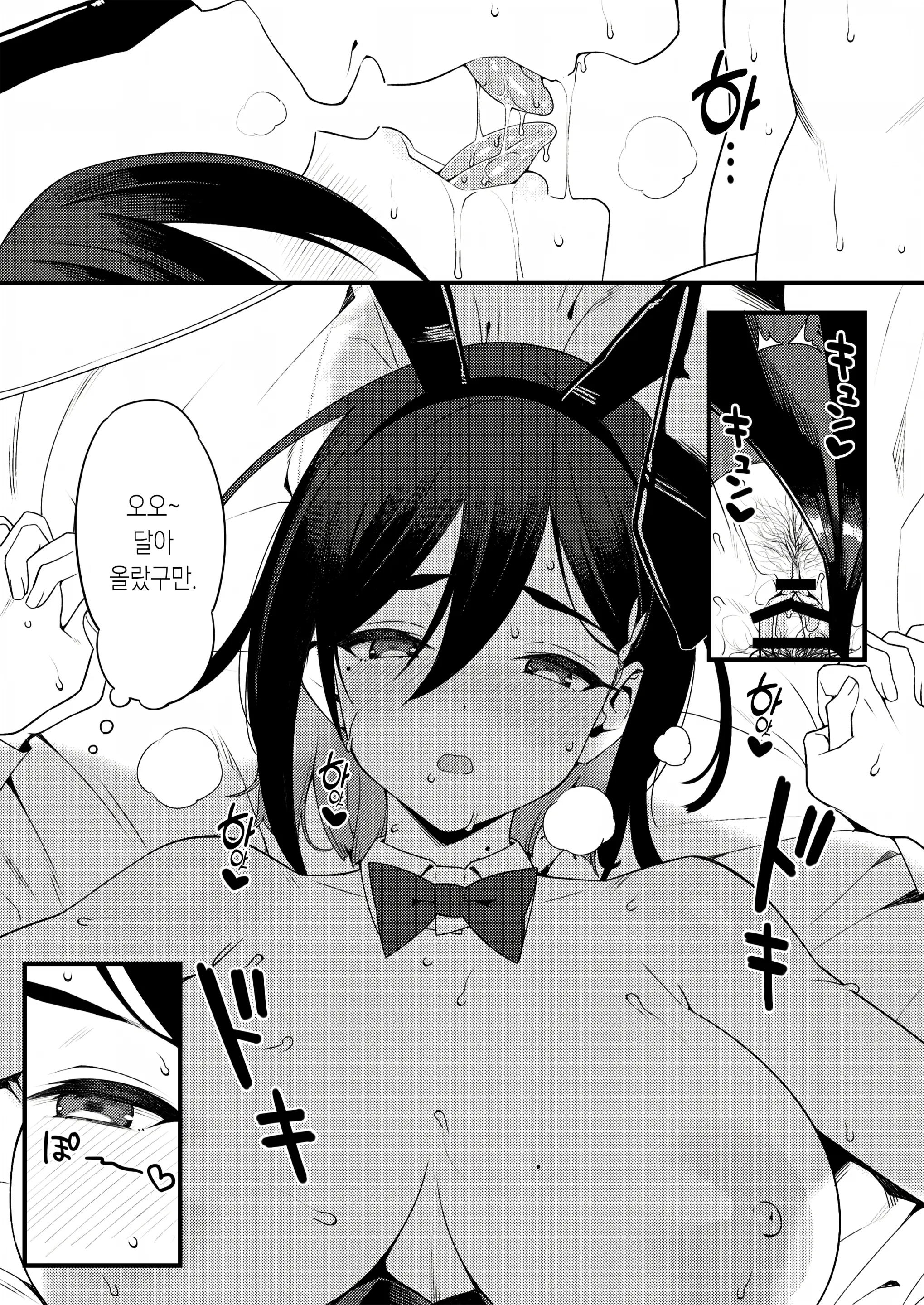 Bunny Gentei Manga