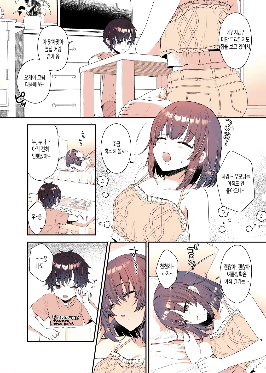 Boku Ga Daisuki Na Onee-Chan | 내가 정말 좋아하는 누나