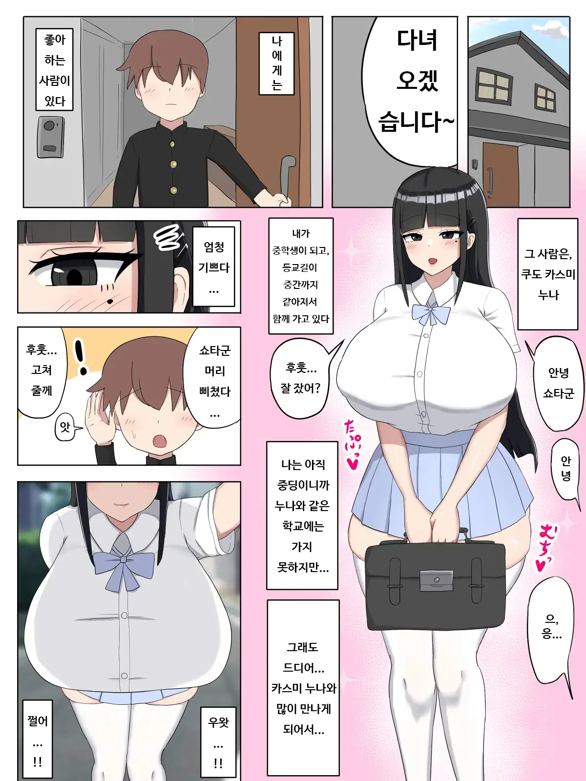 Boku No Suki Na Onee-Chan Wa... | 내가 좋아하는 누나는...