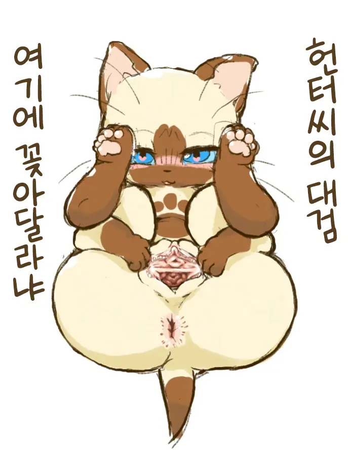 Felyne Manga + Extras