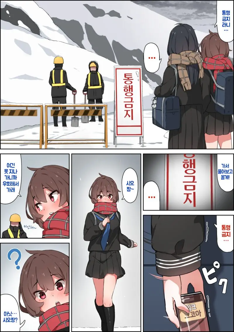 Fuyu No Kaerimichi