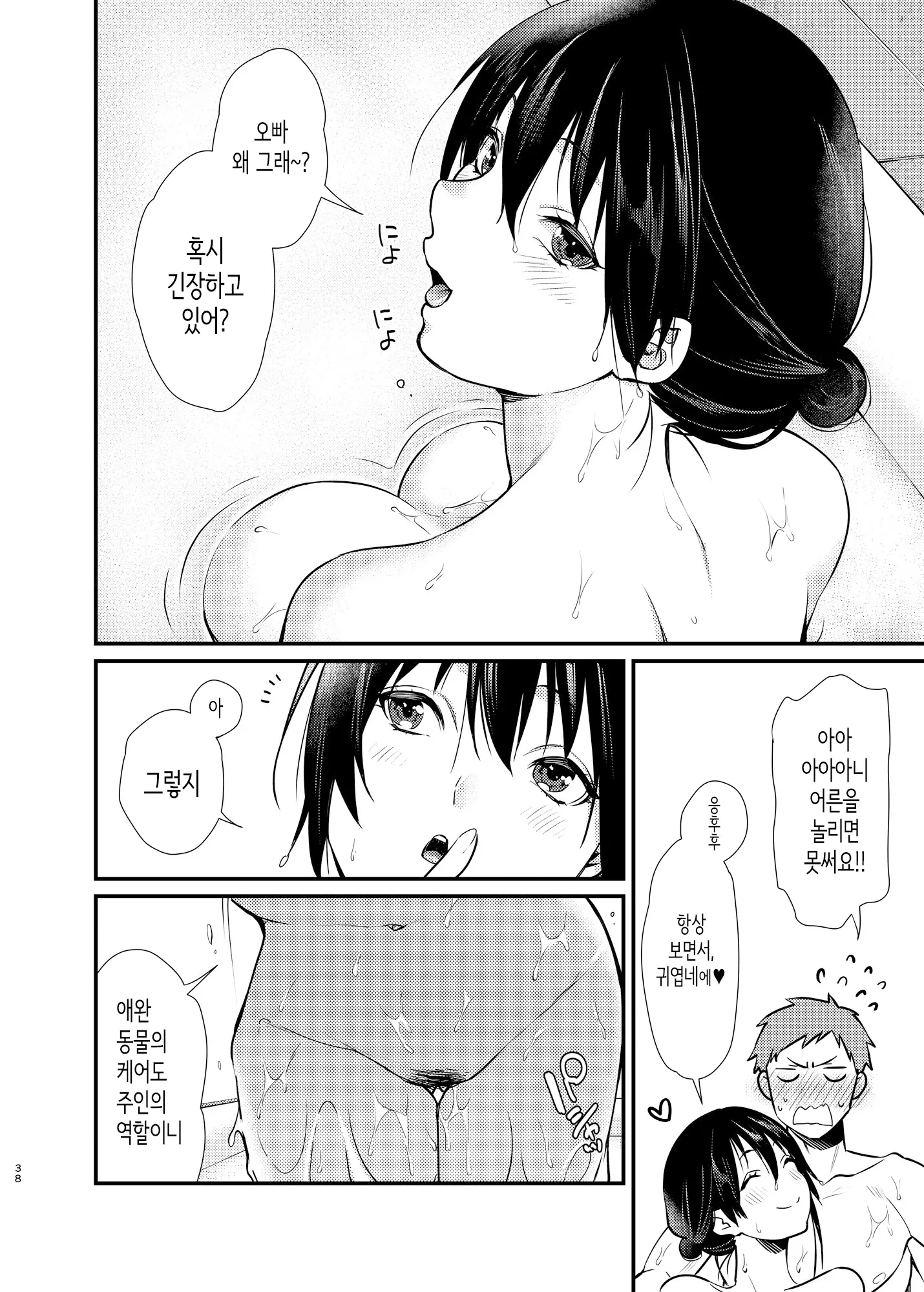 Misaki Chan No Pet | 미사키쨩의 애완동물