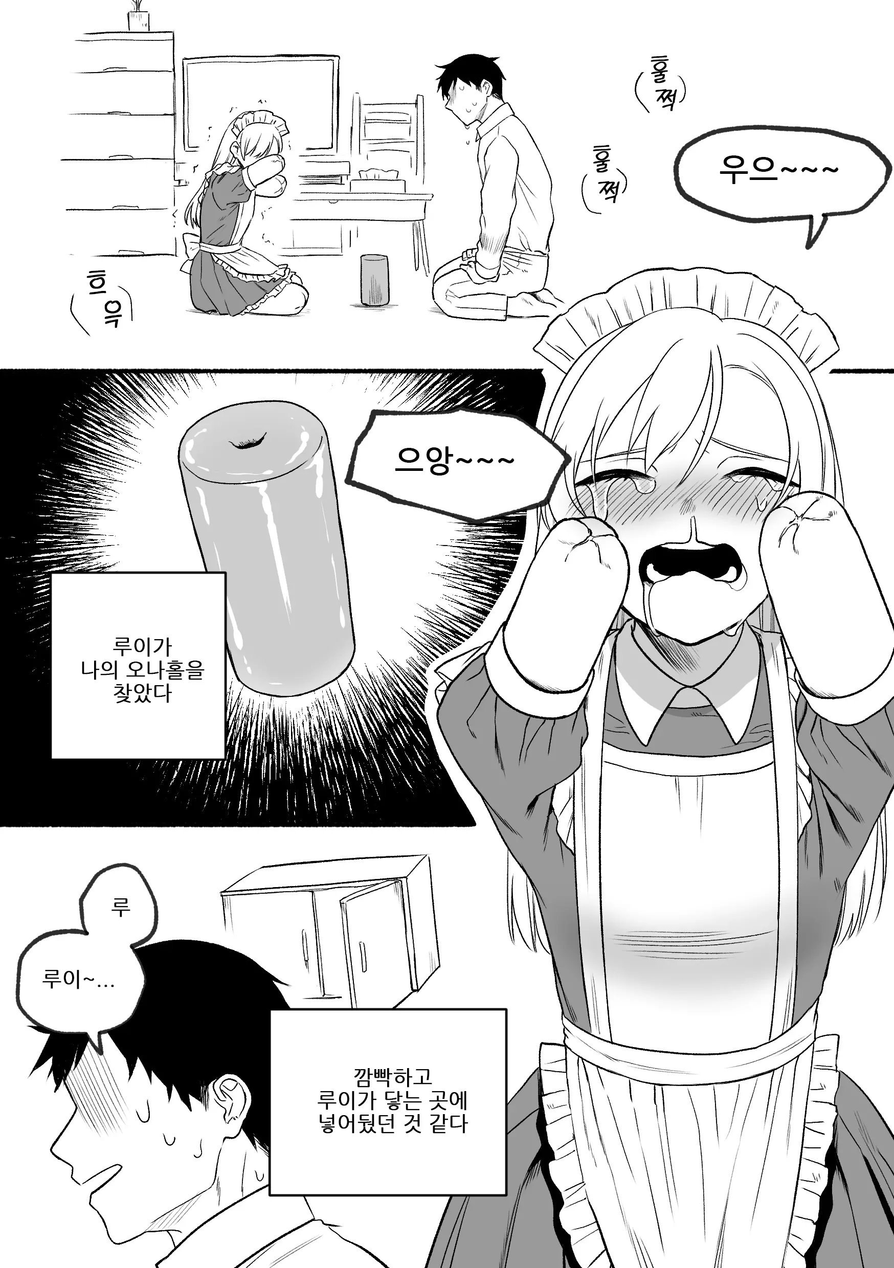 Kesson Maid Rui | 결손 메이드 루이