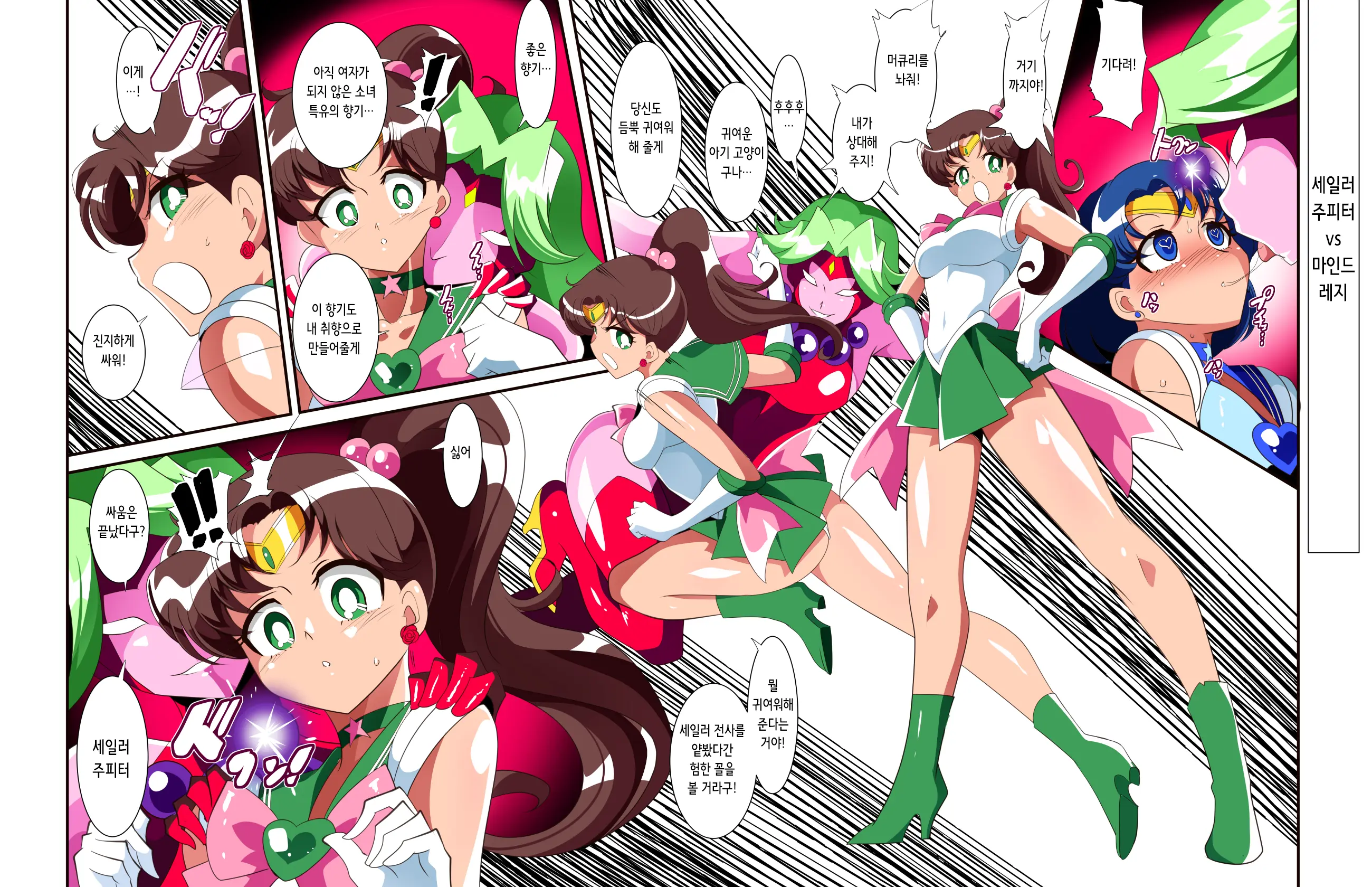 Sailor Senshi No Kunan | 세일러 전사의 고난