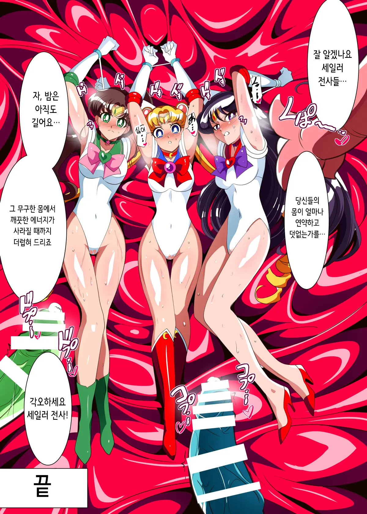 Sailor Senshi No Kunan | 세일러 전사의 고난