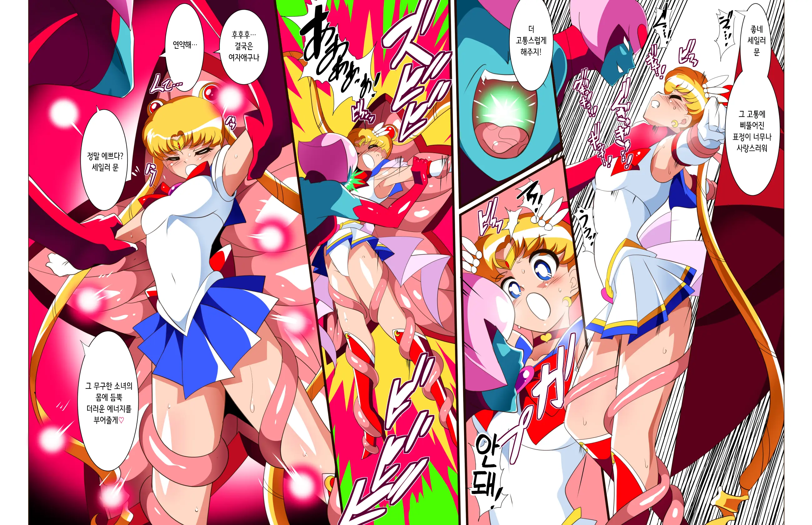 Sailor Senshi No Kunan | 세일러 전사의 고난