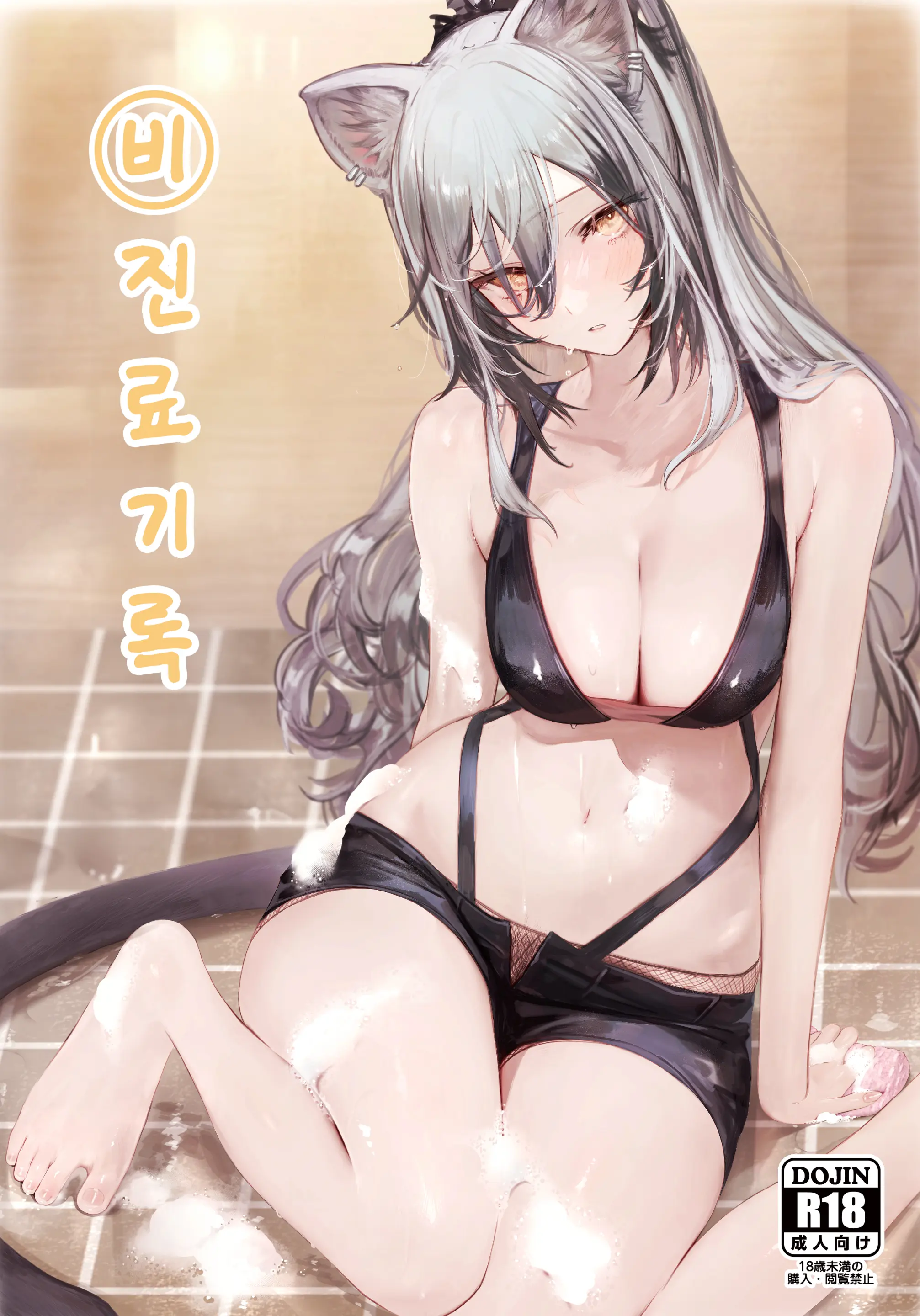Himitsu Goei Kiroku | 비진료 기록
