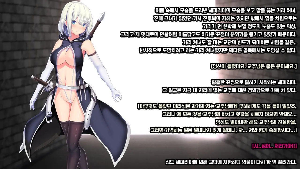 Senhime Bad Ending 1 -Cool Heroine Buzama Haiboku CG Shuu-