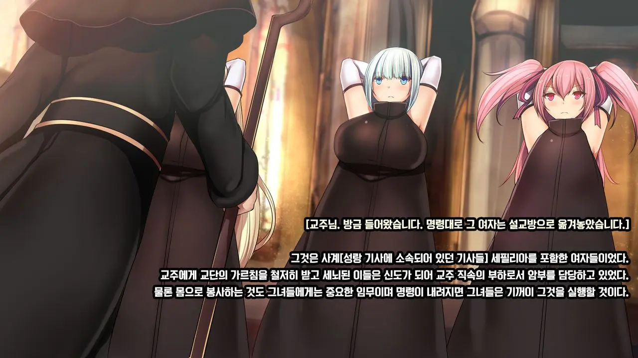 Senhime Bad Ending 1 -Cool Heroine Buzama Haiboku CG Shuu-