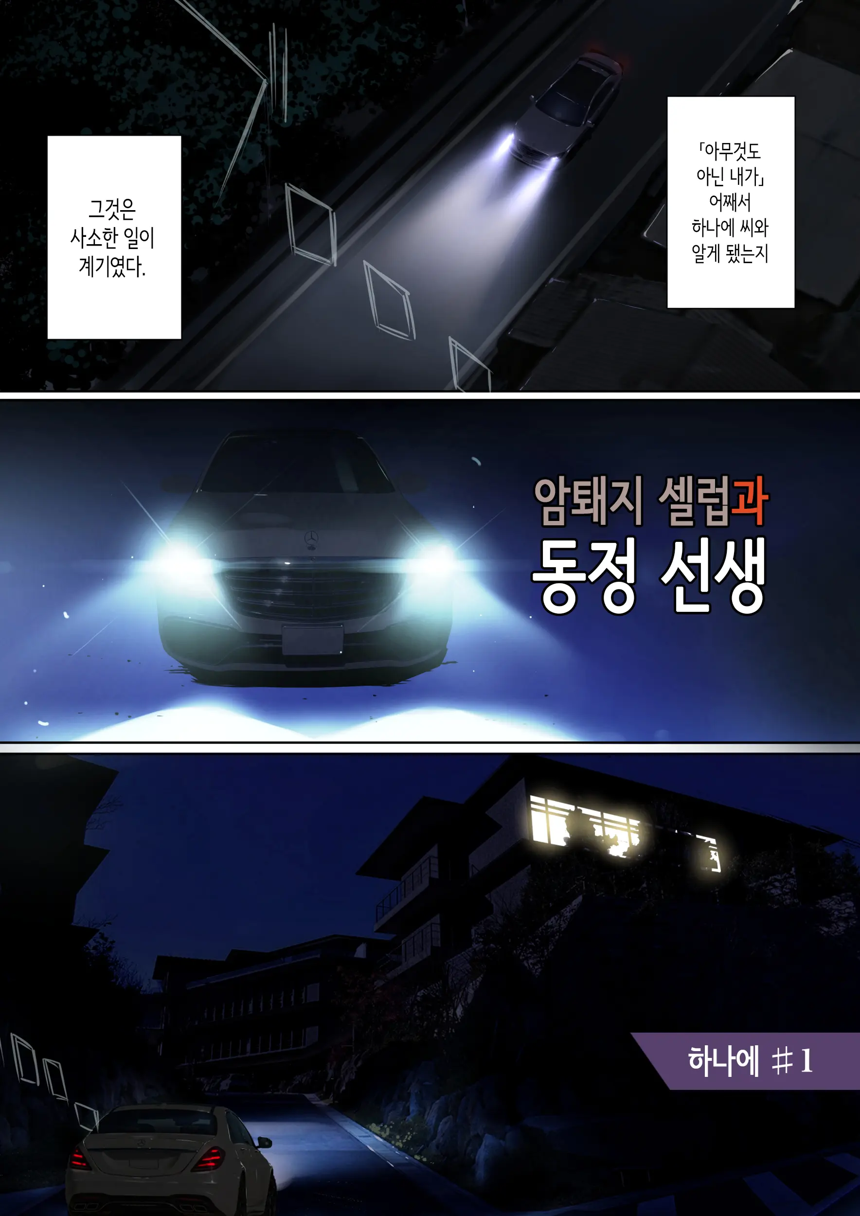Mesu Buta Celeb To Doutei Sensei | 암퇘지 셀럽과 동정 선생