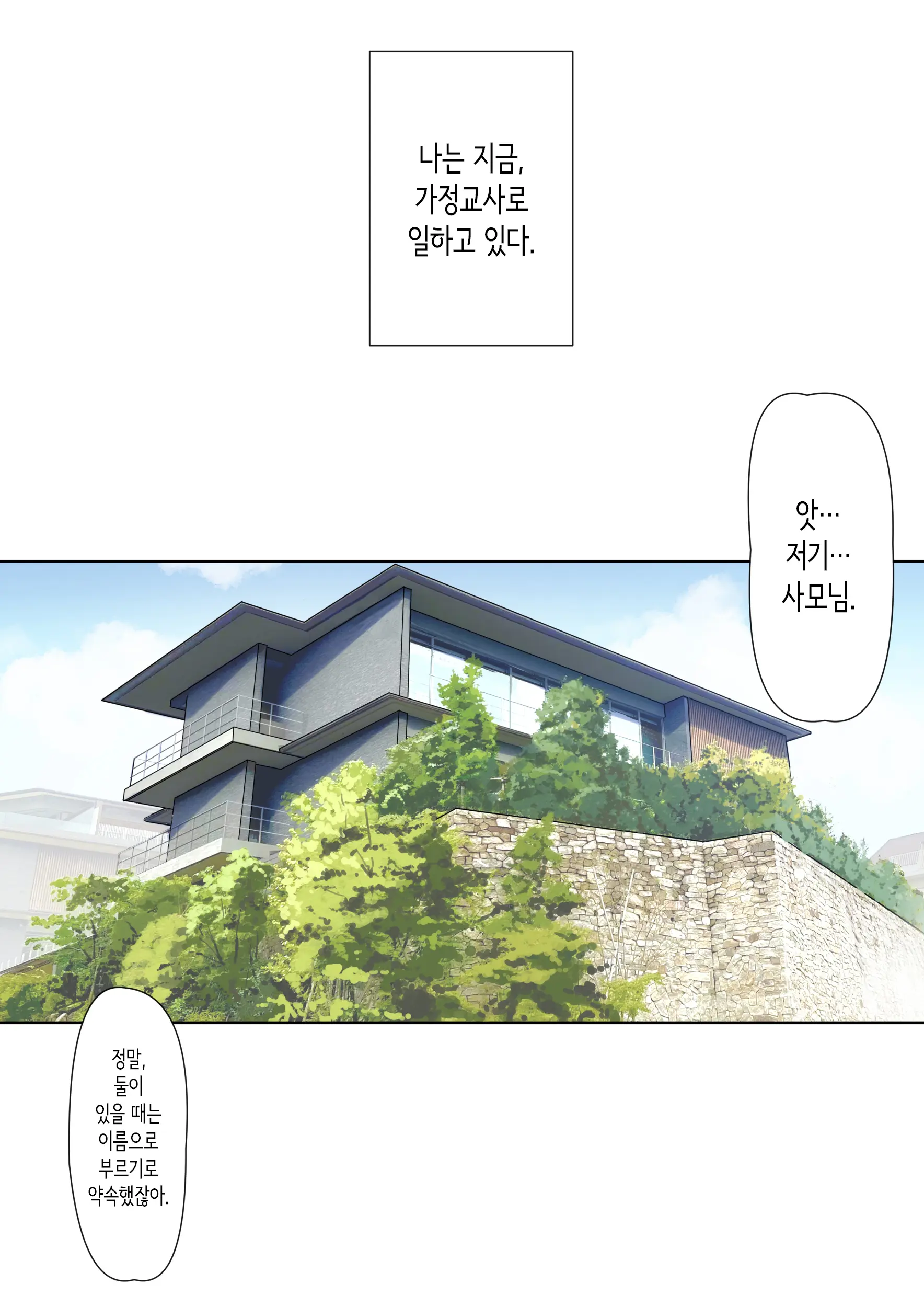 Mesu Buta Celeb To Doutei Sensei | 암퇘지 셀럽과 동정 선생