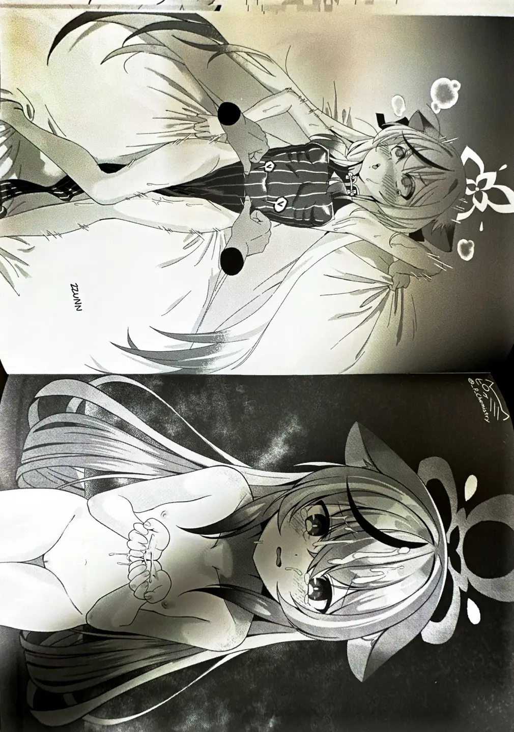 코코나개따먹는책