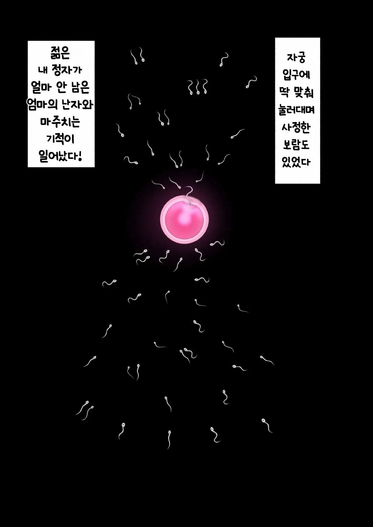 Shojo No Haha Wa Musuko Ni Dakarete Ko O Haramu 처녀인 엄마는 아들에게 안겨 아이를 낳는다