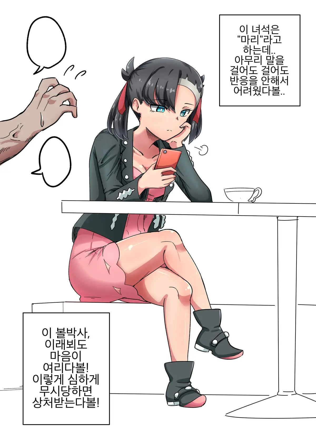 포켓몬 히로인 길들이기