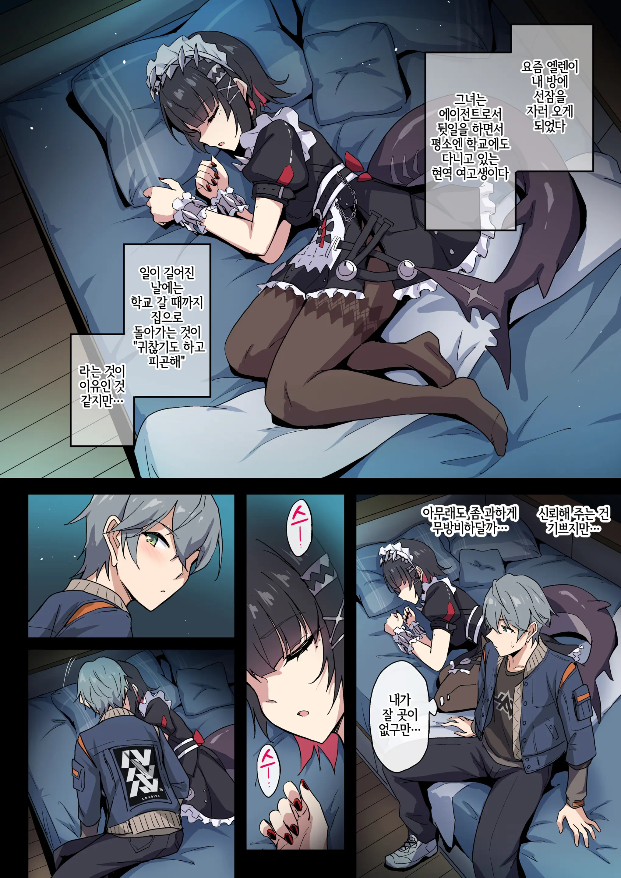 SHARKBED
