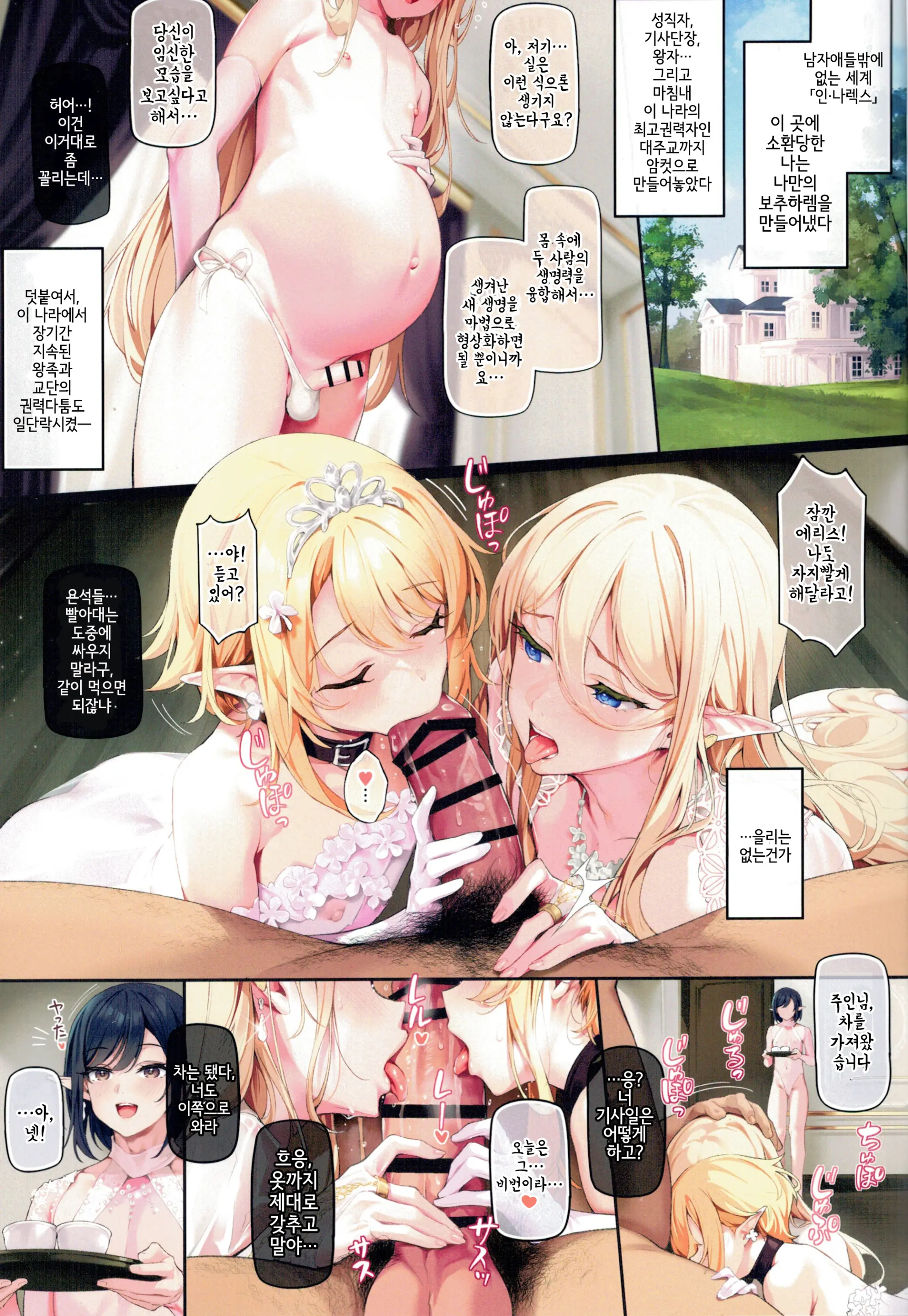 Isekai Otokonoko Kan Ochi Yinkon Harem - Kyokon Ni Ochi Ta Mesu Danshi, Zen In Goshujin Sama ( Ore ) No Hanayome