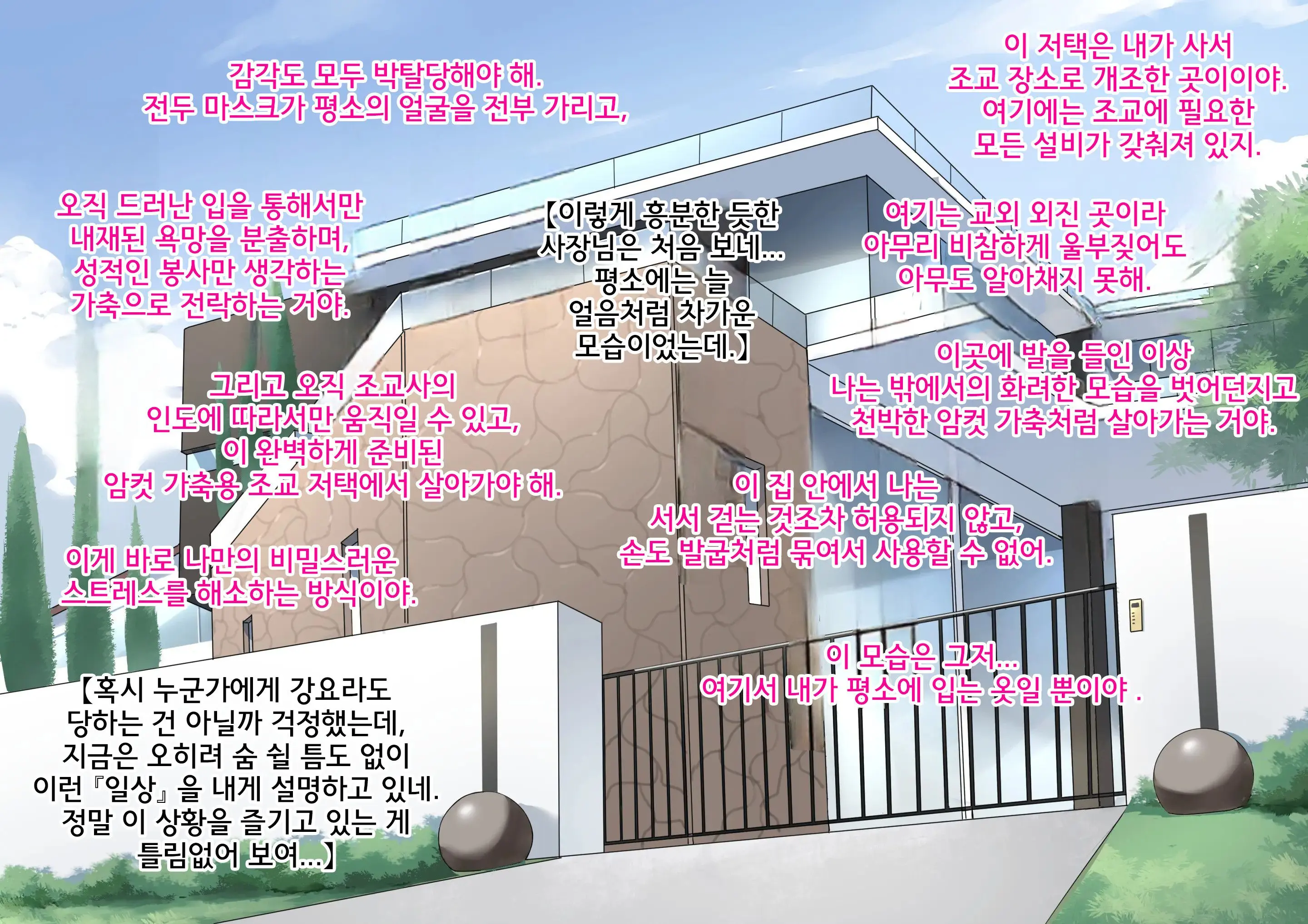 Secret Plan | 비밀기획