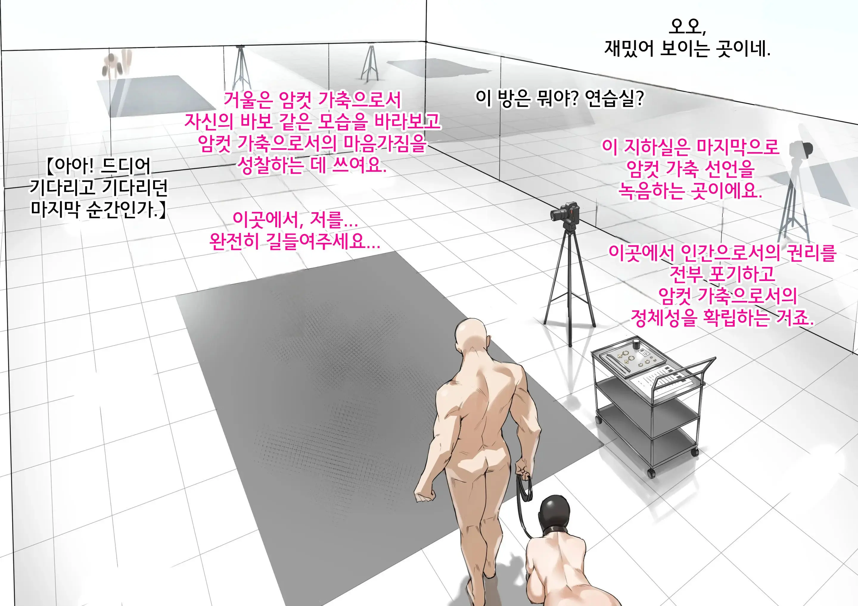 Secret Plan | 비밀기획